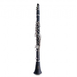 Bb Clarinet