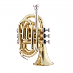 Pocket Trumpet