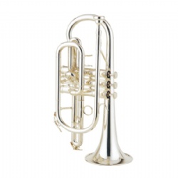 Cornet