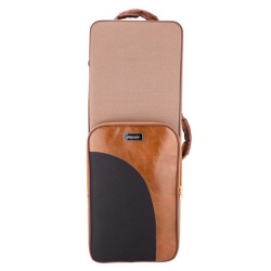 Saxophone Case